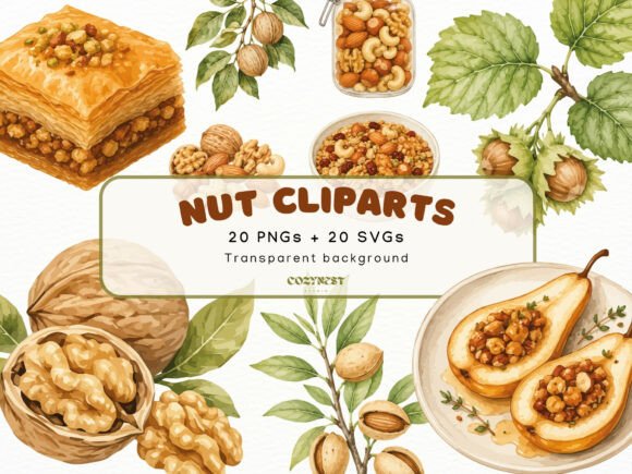 Download Nut Watercolor Cliparts, Botanical PNG - Watercolor Collection