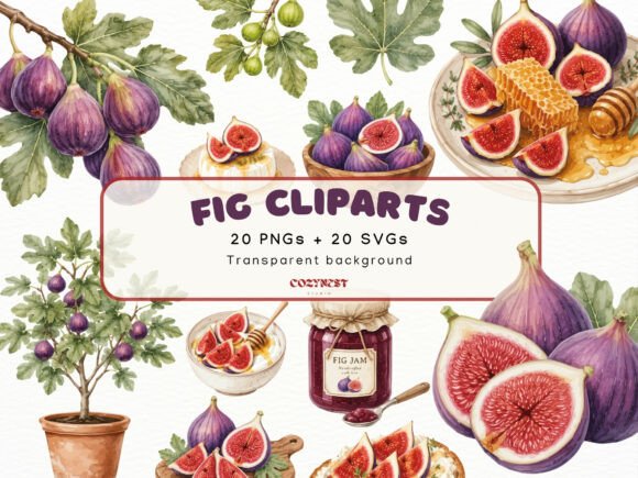 Download Fig Watercolor Cliparts, Botanical PNG - Watercolor Collection